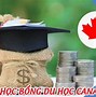 Du Học Canada Bậc Thạc Sĩ 2024 Pdf Download University