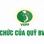 Ngày Bảo Vệ Môi Trường Là Ngày Gì